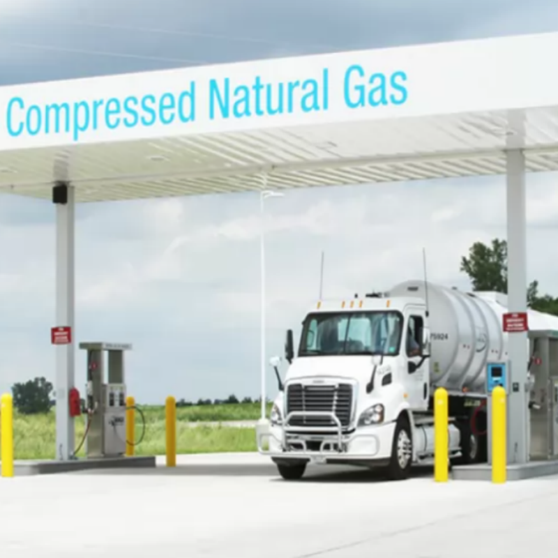 Reciprocating Piston 200-250bar CNG Mother Filling Station with Compressor and Dispenser